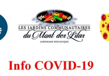 info covid 19